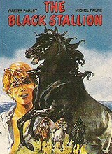 Hodder & Stoughton: Black Stallion (H&S) #1: The Black Stallion